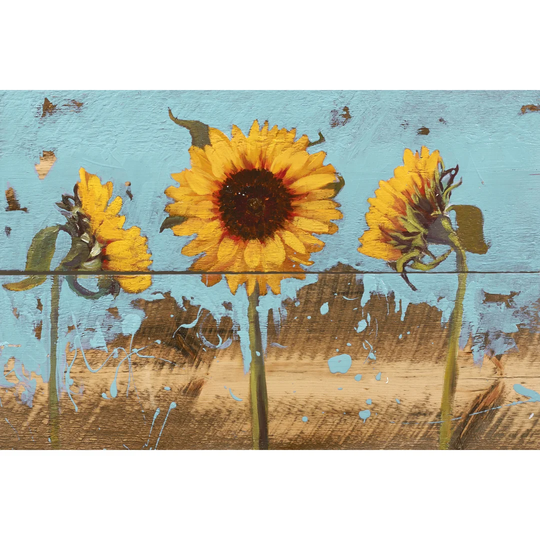 Sunflowers on Wood IV by Sandra Iafrate - Wrapped Canvas Painting