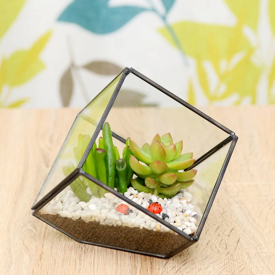 Schofield Glass Terrarium