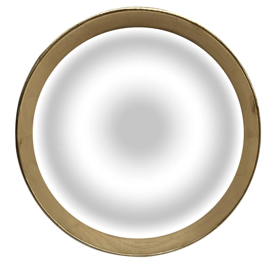 Dellrey Framed Wall Mounted Accent Mirror in Gold