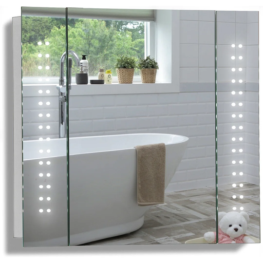 Segrest 65cm x 60cm Surface Mount Mirror Cabinet with LED Lighting