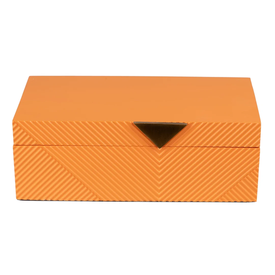Aubrianna Resin and Metal Box