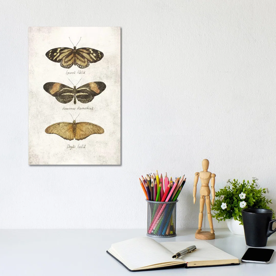 Butterflies III - Print on Canvas