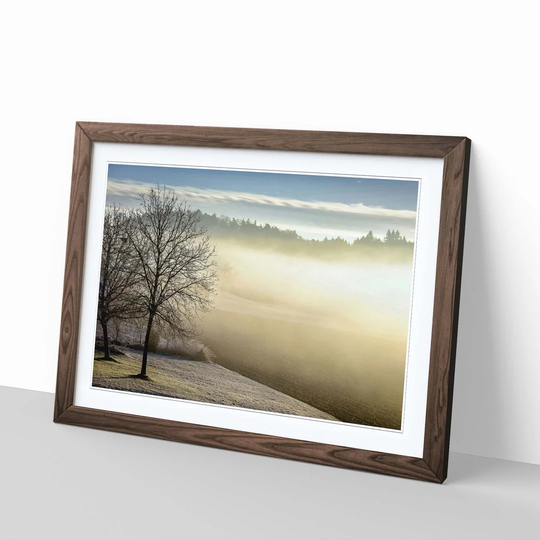 'Landscape Winter Forest Wood' Framed Photographic Print