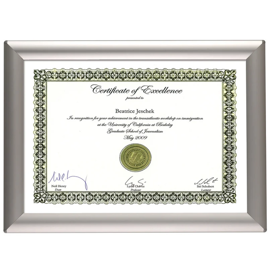Busygrip Certificate Frame