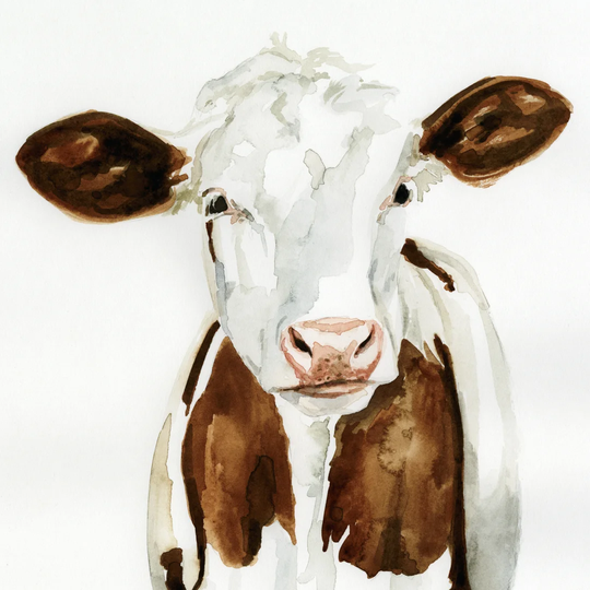 Cow Gaze I by Victoria Barnes - Wrapped Canvas Painting