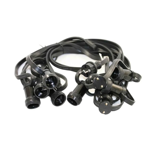 Natchitoches Cord Only