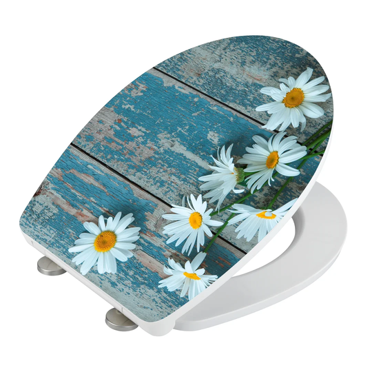 Asteride Soft Close High Gloss Acrylic Fix Clip Toilet Seat