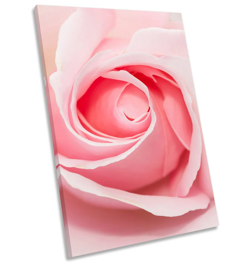 Rose Flower Head Petals Floral Framed CANVAS WALL ART Picture Print