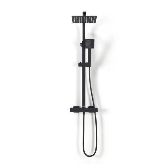 Resnick Thermostatic Shower with Dual Shower Head