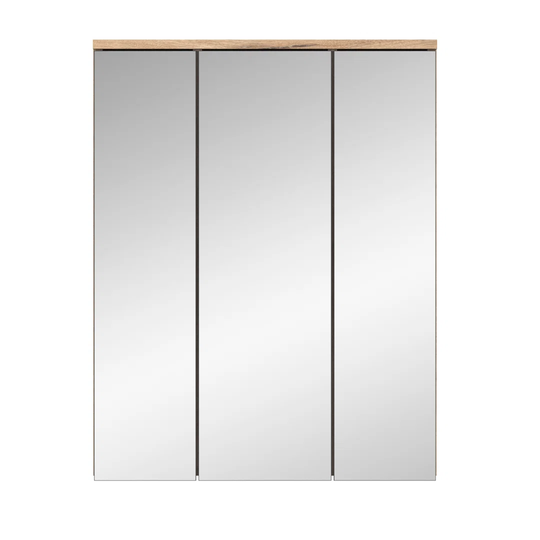Hanieh 60cm x 77cm Surface Mount Mirror Cabinet