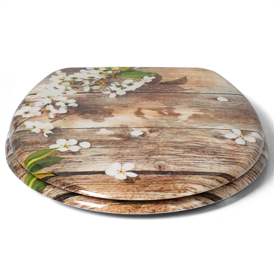 Soft Close Elongated Standard Toilet Seat