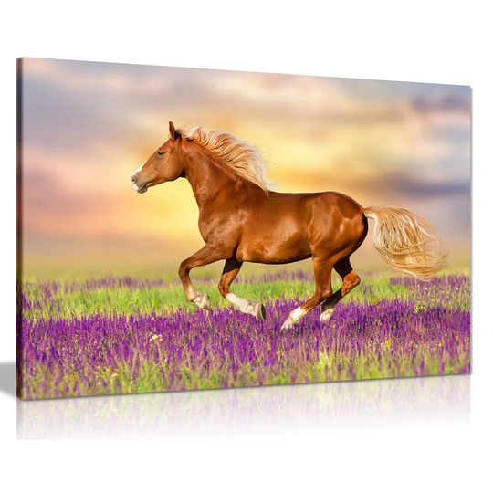 Horse Running Through Lavender Field - Wrapped Canvas Graphic Art
