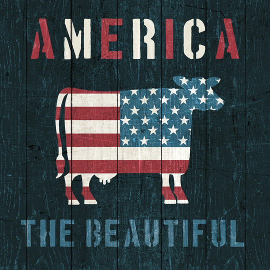 American Farm Cow by Michael Mullan - Wrapped Canvas Painting Print