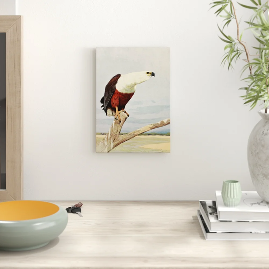 'Vintage African Fish Eagle' by W Kuhnert Graphic Art