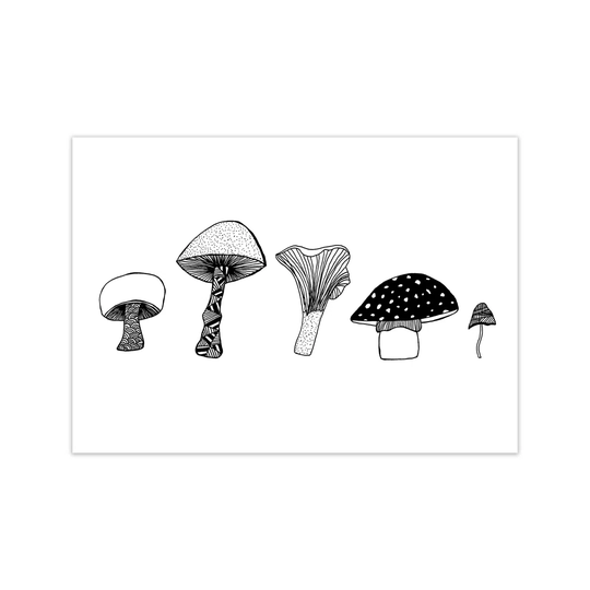 Mushrooms by Carissa Tanton - Graphic Art Print on Paper