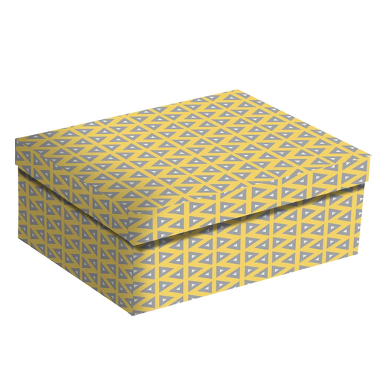Triangles Cardboard Box