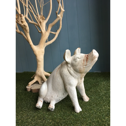 Juni Pig