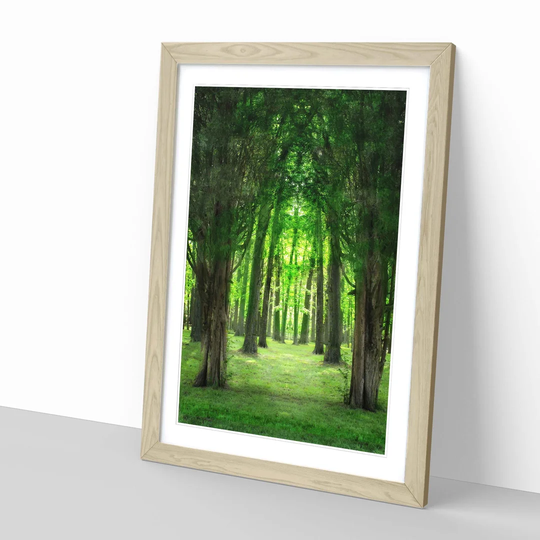 'Green Forest Woodland Trees Landscape' Framed Photographic Print