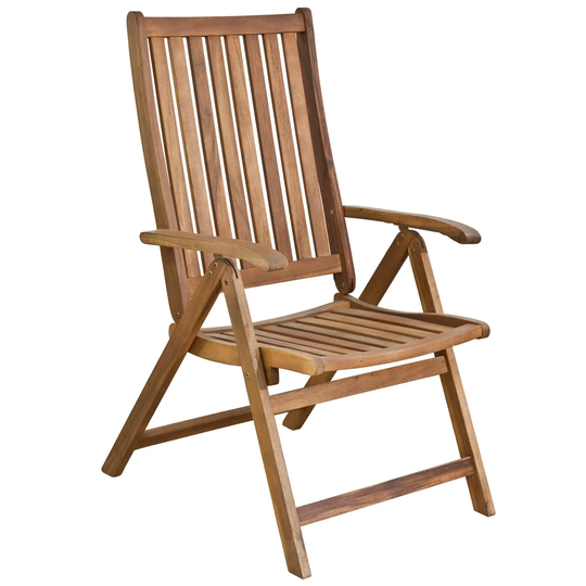 Quiroz France Folding Reclining Chair