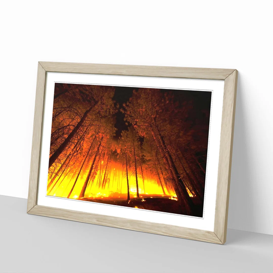 'Landscape Forest Fire' Framed Photographic Print