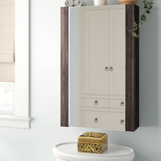 Halila 50cm x 80cm Surface Mount Mirror Cabinet