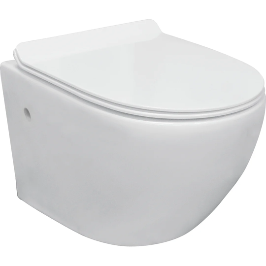 Flinn Wall Hung Toilet with Soft Close Seat