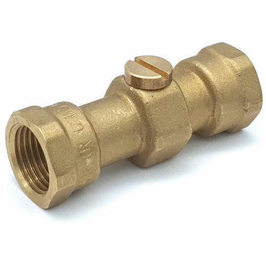 1/2 fbsp Floguard Double Check Valve