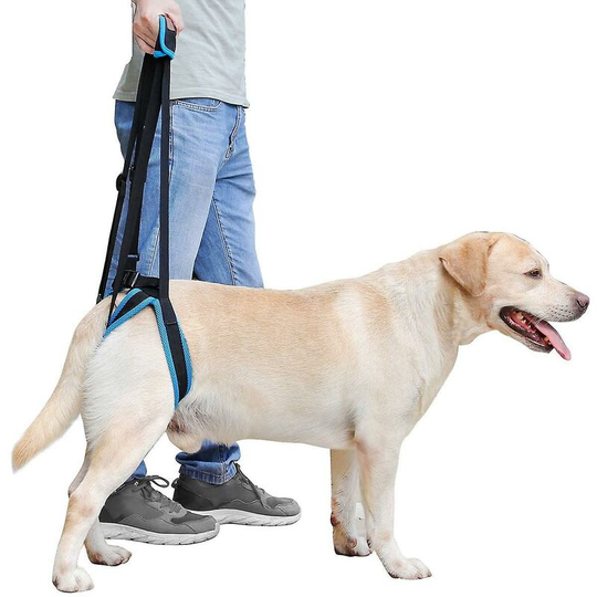 Perlerare - Dog Lifting Harness Portable lifting harness for hind legs, elderly, injured, sick and disabled dogs,S