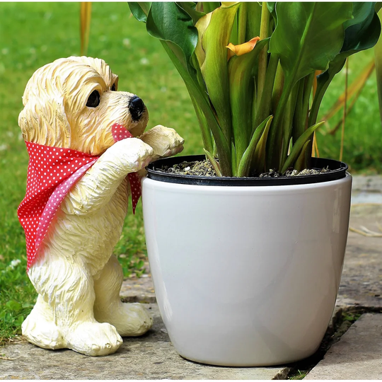 Bradwell Peeping Puppy
