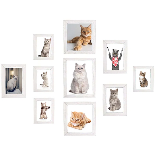 Vergara 10 Piece Gallery Wall Set Frame in White