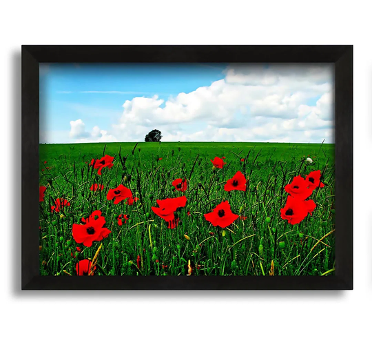 Poppy Fields On A Cloudy Day Framed Print