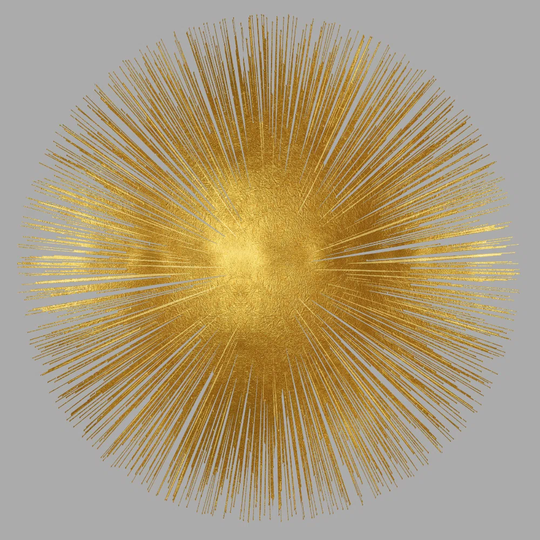 Sunburst on Photograph Grey I by Abby Young - Wrapped Canvas Art Prints