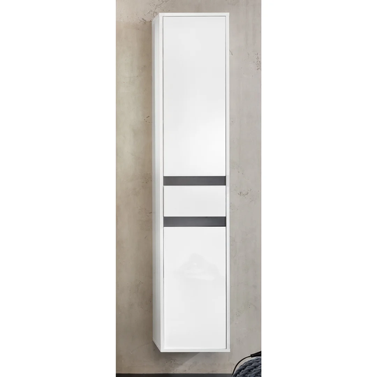 Tollison 35 x 172cm Wall Mounted Cabinet