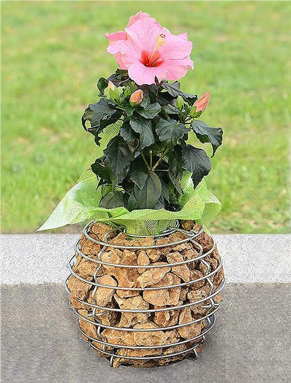 Audree Metal Cachepot Planter