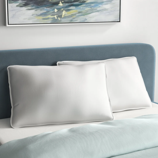 Anti Allergy Soft/Medium Pillow Pair