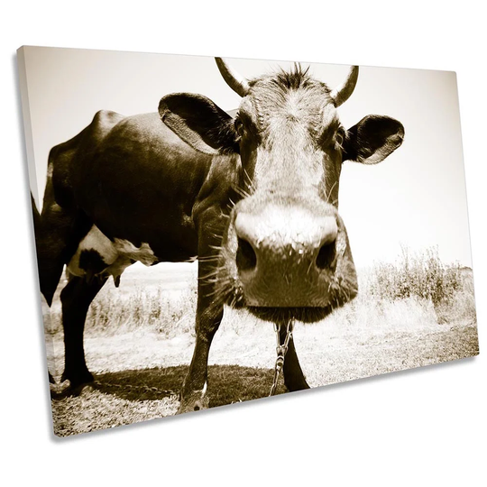 Cow Face Sepia Farm Picture CANVAS WALL ART Print