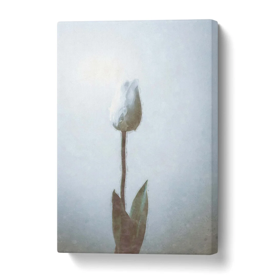 'Solitary White Tulip in Abstract' Graphic Art Print on Canvas