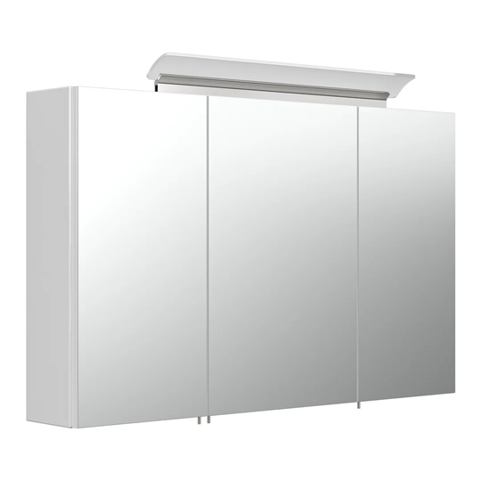 Averett 100cm x 62cm Surface Mount Mirror Cabinet with Lighting