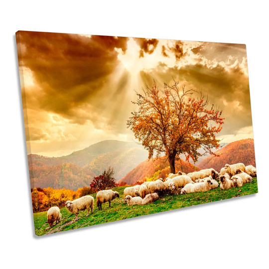 Highlands Sunset Landscape Sheep CANVAS WALL ART Print Picture