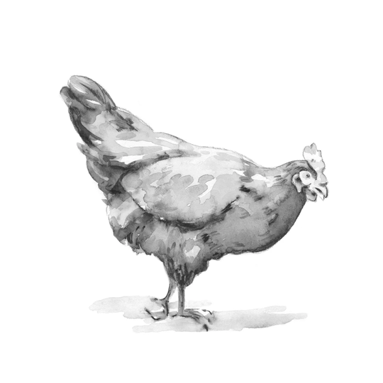 Barn Fowl II by Emma Caroline - Wrapped Canvas Painting