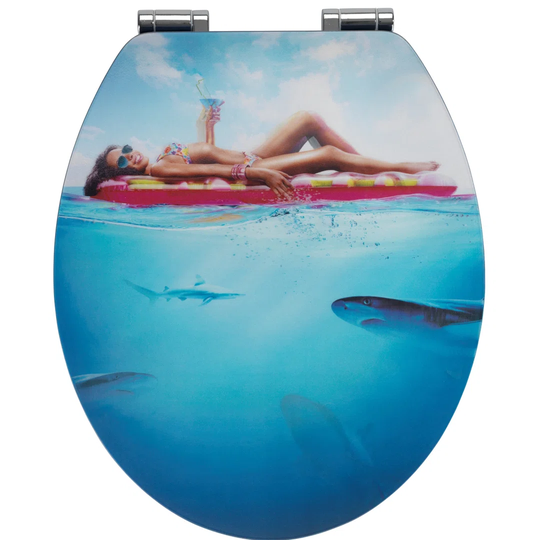 Debord Soft Close Elongated Toilet Seat
