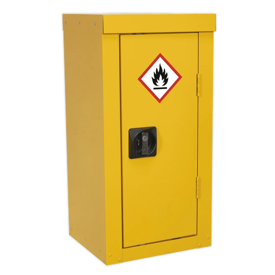 27.76" H x 13.78" W x 11.81" D Shanita Safety Cabinet