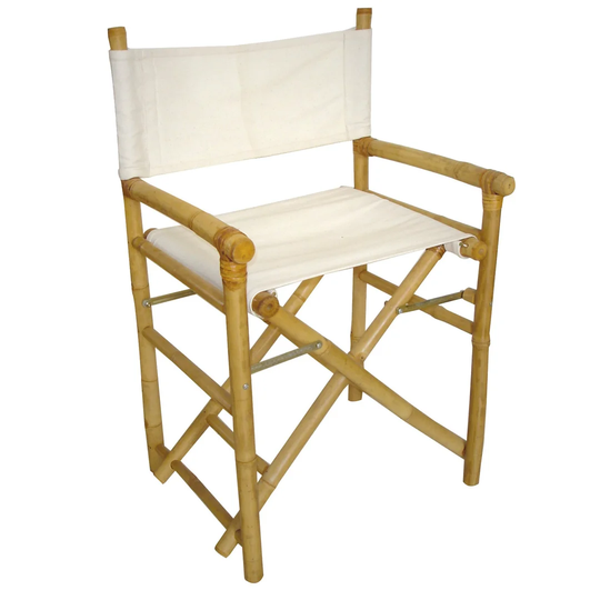 Folding Director Chair