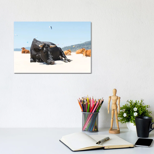 The Sleeping Bull by Andrew Lever - Photograph Print on Canvas