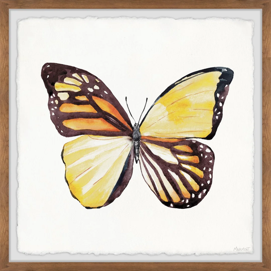 Distinct Wings - Picture Frame Painting