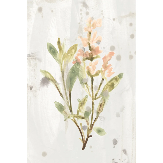Antique Earthtone Herbs IV by June Erica Vess - Wrapped Canvas Painting