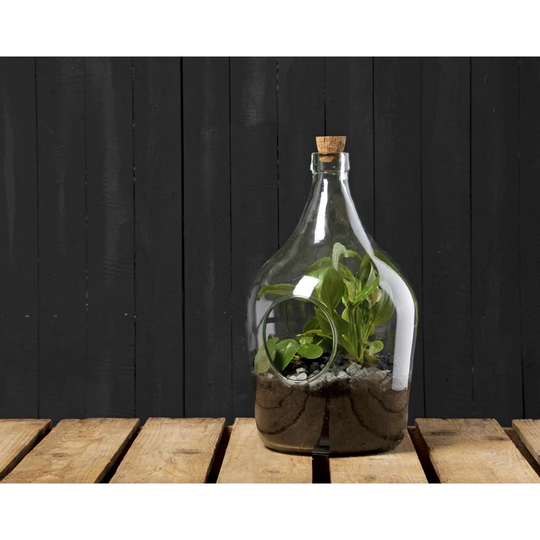 Terrarium Vase Filler