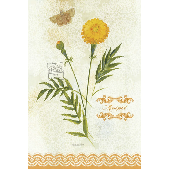 Flower Study On Lace XI