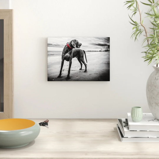 'Weimaraner Dog' Photographic Print