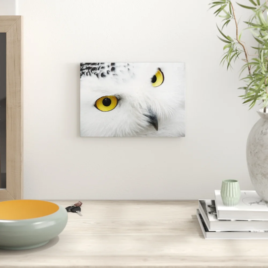'Snowy Owl Eyes' Graphic Art